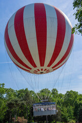 A huge hot air balloon over the trees