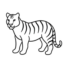 Fototapeta premium vector illustration of a tiger