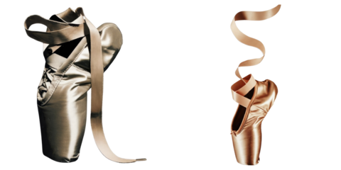 PNG Two elegant ballet slippers rest on a transparent background.