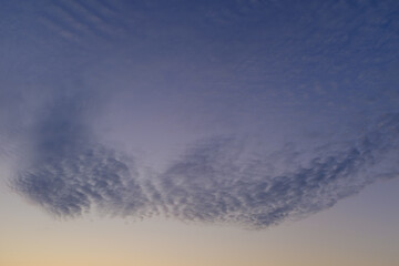 Angel wings formed by cirrocumulus clouds in the blue hour