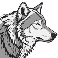 Fototapeta premium vector illustration of wolf