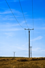 telephone lines across harvested wheat field