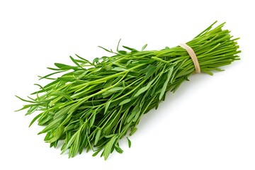 A bundle of fresh green tarragon herb tied with a rubber band isolated on a white background close up