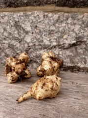 Close up of a few just harvested Jerusalem artichokes on a gray wooden table.