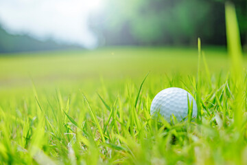 新緑の芝生が綺麗なゴルフ場