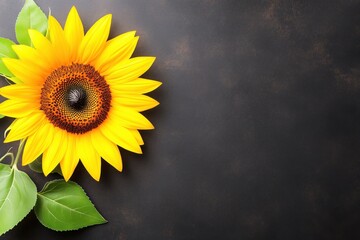 A vibrant sunflower with bright yellow petals and green leaves on a dark background.