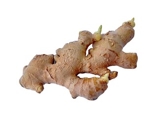 ginger root isolated on white background