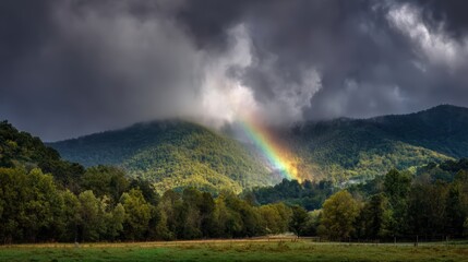 rainbow forming over green hills after rain, perfect lighting, realistic and cinematic style