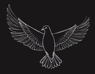 Tranquil Dove Line Sketch, Symbol of Peace and Harmony, Ideal for Inspirational Designs