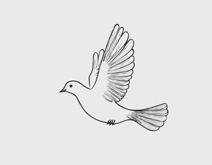 Tranquil Dove Line Sketch, Symbol of Peace and Harmony, Ideal for Inspirational Designs
