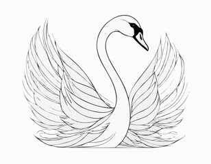 Graceful Swan Line Art Illustration with Intricate Feathers and Elegance