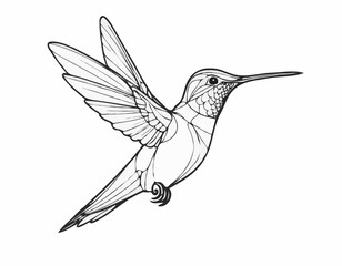 Obraz premium Playful Hummingbird Line Art Sketch Capturing Vibrant Elegance