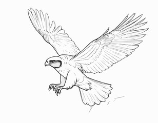 Soaring Falcon Line Art Drawing in Dynamic Flight Pose