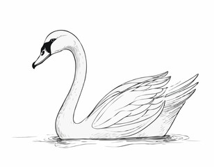 Graceful Swan Line Drawing, Elegant Minimalist Artwork for Nature Enthusiasts