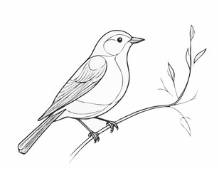 Charming Songbird Line Art Illustration in Nature's Harmony