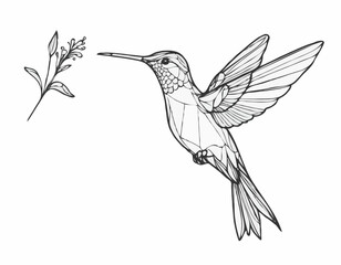 Delicate Hummingbird Line Illustration, Vibrant and Dynamic Nature Sketch