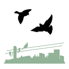 Nature landscape with birds silhouettes. Flyight doves above the city. Vector illustration.	
