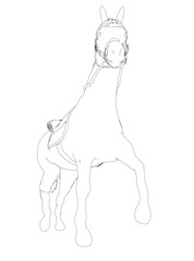 A horse is standing in a field with its head turned to the side. The horse is wearing a saddle and bridle