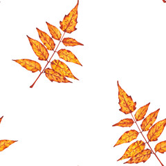  Seamless watercolor pattern of orange and yellow autumn leaves. Perfect for seasonal wrapping paper, textile prints, stationery, or fall-themed backgrounds.