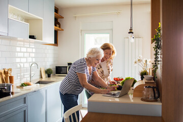 Senior lesbian couple cooking healthy food together while following a recipe on laptop in modern kitchen