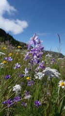 Obraz premium artistic professional photo of blooming wildflowers on an alpine meadow, vertical scene