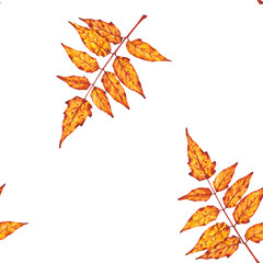 Fototapeta premium Seamless watercolor pattern of orange and yellow autumn leaves. Perfect for seasonal wrapping paper, textile prints, stationery, or fall-themed backgrounds.
