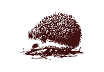 Hedgehog hand drawn sketch vector illustration © Shutoda