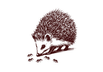 Hedgehog hand drawn sketch vector illustration