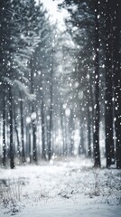 Obraz premium artistic professional photo of snow falling in winter forest, soft blurred trees, perfect lighting, realistic and cinematic style
