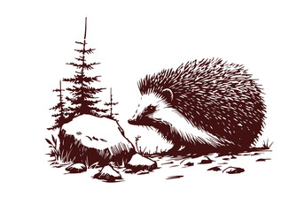 Hedgehog hand drawn sketch vector illustration © Shutoda