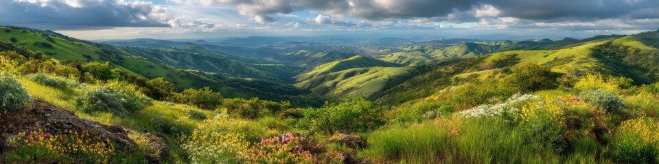 Fototapeta premium artistic professional photo of green rolling hills with blooming wildflowers, panoramic view, perfect lighting, realistic and cinematic style