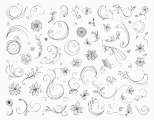 Delicate Swirls and Curves Line Frames for Graceful Scrapbooking Projects