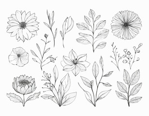 Botanical Line Art Borders to Add a Touch of Nature to Creative Projects