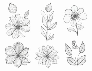 Retro Floral Line Borders Set for Nostalgic Greeting Cards