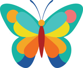 butterfly on a white background
