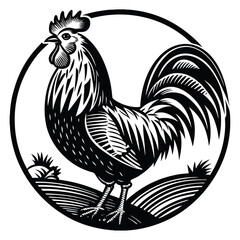 Cock © polchai