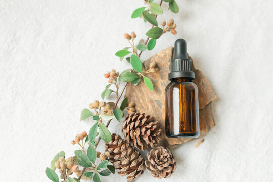 Amber glass essential oil dropper bottle flat lay image with pine cones and fresh foliage