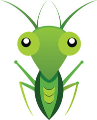 vector illustration of a green grasshopper