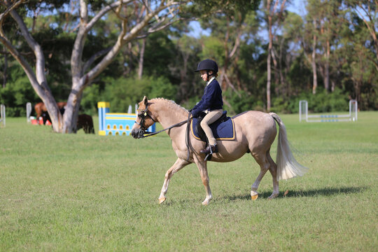 Young equestrian rider on a light-coloured horse