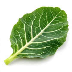 Collard greens leaf isolated on clean white background