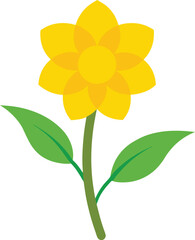 yellow flower isolated on white