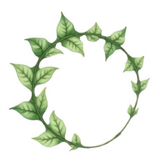 Fototapeta premium Green Leaf Wreath Frame on Transparent Background
