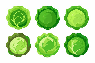 Fresh Cabbage Vector Graphics Pack Ideal for Farm Market Branding Logo Design and Healthy Food Illustrations