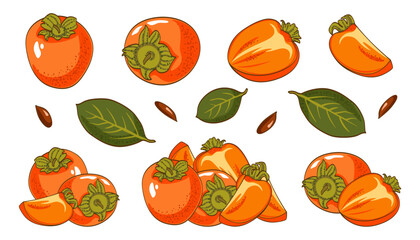 Set of cartoon persimmon, single fresh whole and half and sliced fruit, composition or still life isolated on white. Bright orange color. Vector clipart illustration for graphic design and print.