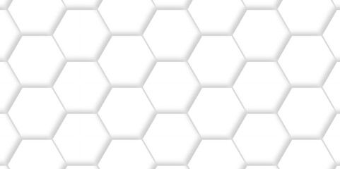Abstract minimal Background with white lines Hexagonal structure futuristic white background and Embossed Hexagon , honeycomb white mosaic cell web ,light and shadow texture design.