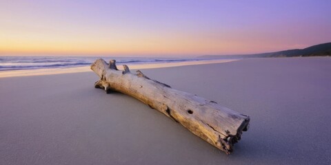 Serene Beach Scene at Sunrise with Driftwood Log on Smooth Sand and Gentle Waves Under Colorful Sky