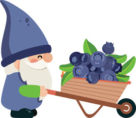 Cheerful Gnome Hauling Fresh Blueberries