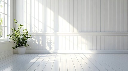 Fototapeta premium Natural light illuminates indoor space with minimalist plant display white background contemporary art