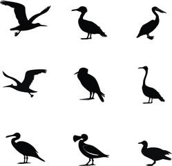 Obraz premium Elegant Bird Silhouettes Perfect for Logo Design Branding and Nature Themes