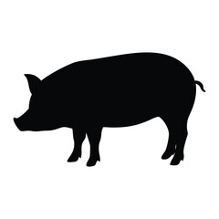 Pig silhouette on white background. Vector illustration.